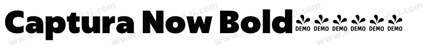 Captura Now Bold字体转换